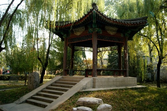 DSC03420.JPG