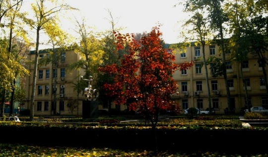 DSC03386.JPG