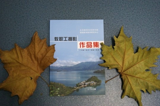 DSC01480.JPG